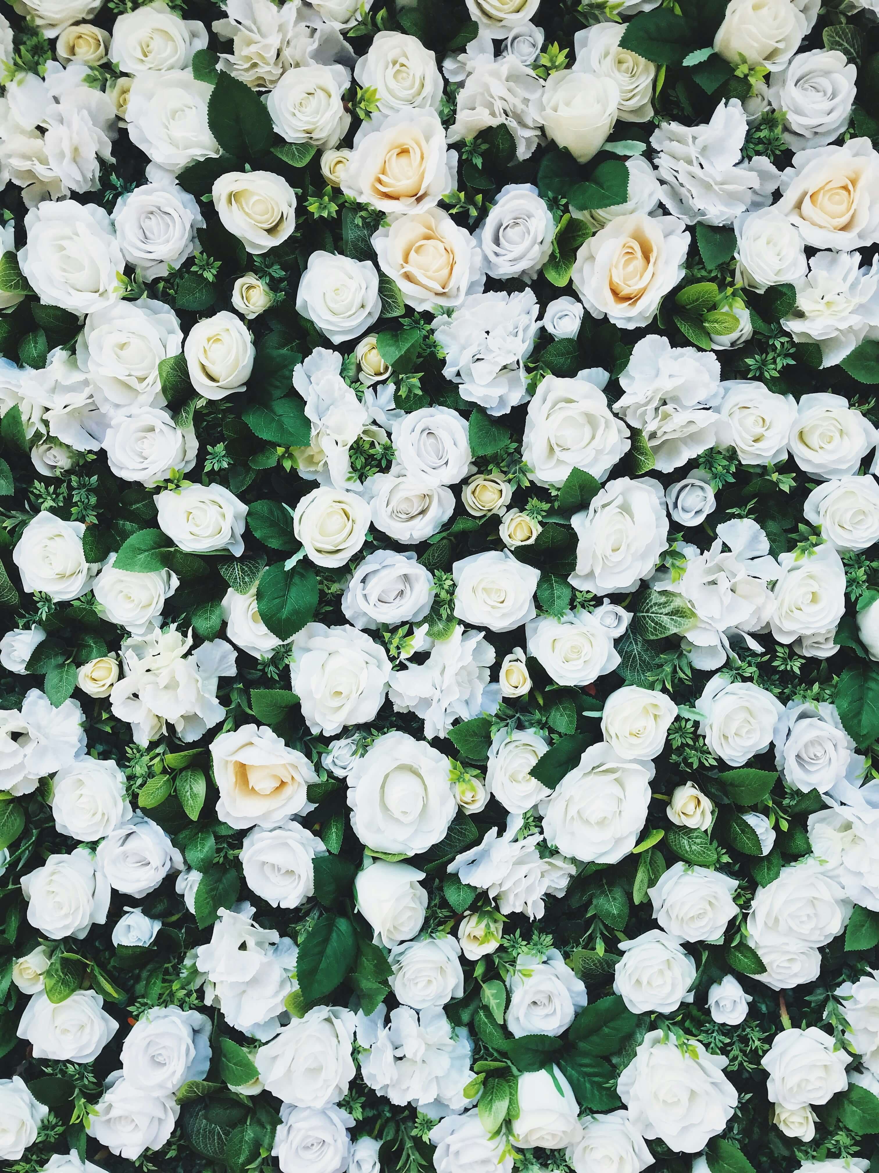 Weds Echos — sample 14