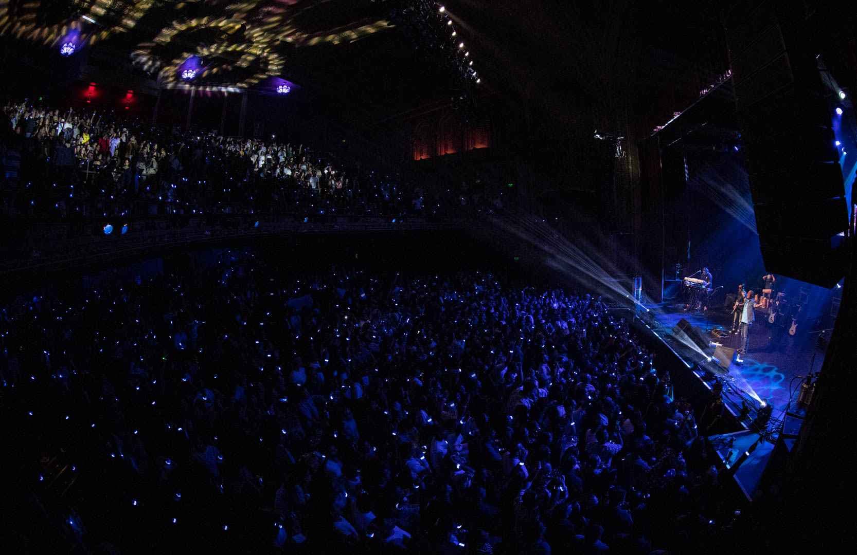 Nepathya - San Francisco - 2024 — 5